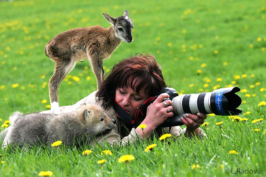 animals-with-camera-helping-photographers-7__880