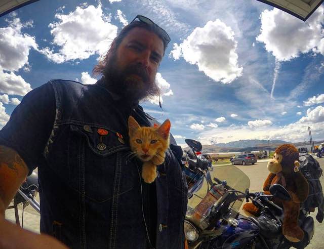 cat-biker-saves-kitten-pat-doody-18